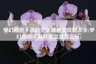 梦幻西游手游时空之域通关攻略大全(梦幻西游手游时空宝盒怎么玩)