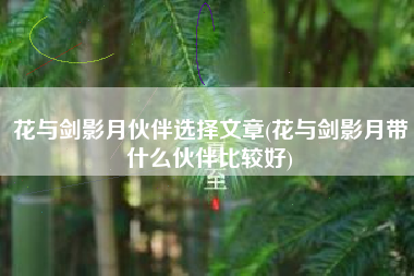 花与剑影月伙伴选择文章(花与剑影月带什么伙伴比较好)