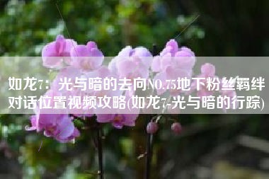 如龙7：光与暗的去向NO.75地下粉丝羁绊对话位置视频攻略(如龙7-光与暗的行踪)