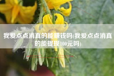 我爱点点消真的能赚钱吗(我爱点点消真的能提现100元吗)