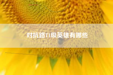 对抗路T1级英雄有哪些