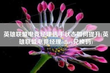 英雄联盟电竞经理选手状态如何提升(英雄联盟电竞经理cdkey兑换码)
