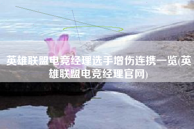 英雄联盟电竞经理选手增伤连携一览(英雄联盟电竞经理官网)