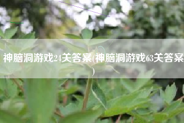 神脑洞游戏24关答案(神脑洞游戏63关答案)
