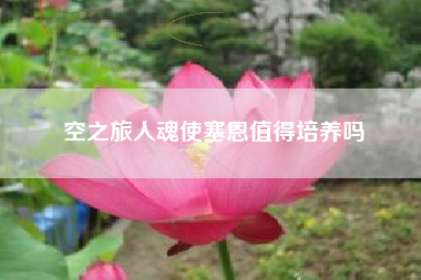 空之旅人魂使塞恩值得培养吗