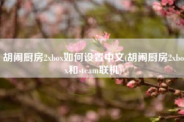 胡闹厨房2xbox如何设置中文(胡闹厨房2xbox和steam联机)