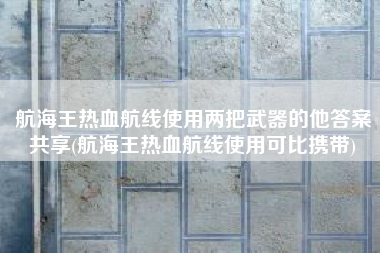 航海王热血航线使用两把武器的他答案共享(航海王热血航线使用可比携带)