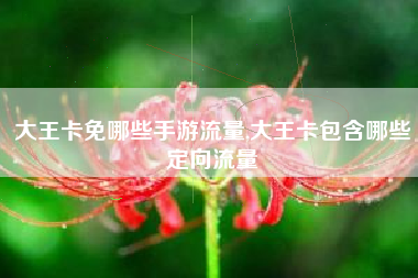 大王卡免哪些手游流量,大王卡包含哪些定向流量