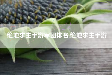 绝地求生手游军团排名,绝地求生手游