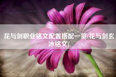 花与剑职业铭文配置搭配一览(花与剑玄冰铭文)