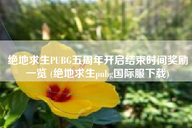 绝地求生PUBG五周年开启结束时间奖励一览 (绝地求生pubg国际服下载)