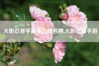 火影忍者手游实力排名榜,火影忍者手游