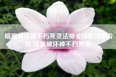 暗黑破坏神不朽死灵法师全技能详细介绍(暗黑破坏神不朽死灵)