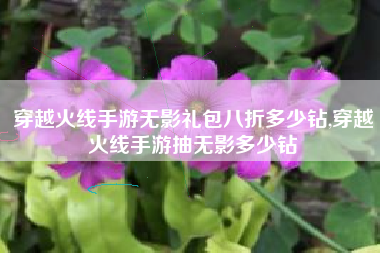 穿越火线手游无影礼包八折多少钻,穿越火线手游抽无影多少钻