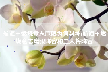 航海王燃烧意志鹰眼为何封神(航海王燃烧意志鹰眼阵容和三大将阵容)