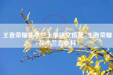 王者荣耀花木兰上单铭文搭配_王者荣耀花木兰去布料