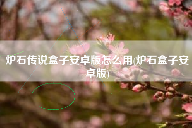 炉石传说盒子安卓版怎么用(炉石盒子安卓版)