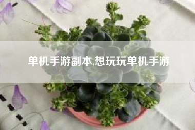 单机手游副本,想玩玩单机手游