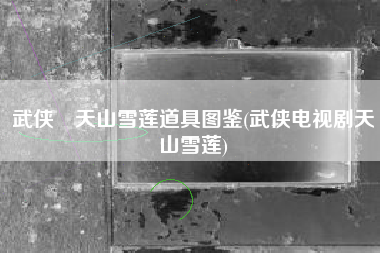 武侠乂天山雪莲道具图鉴(武侠电视剧天山雪莲)
