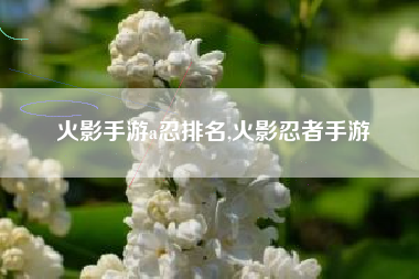 火影手游a忍排名,火影忍者手游