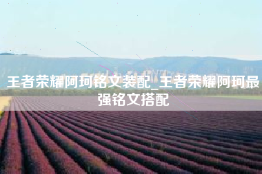 王者荣耀阿珂铭文装配_王者荣耀阿珂最强铭文搭配