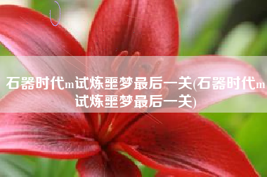 石器时代m试炼噩梦最后一关(石器时代m试炼噩梦最后一关)