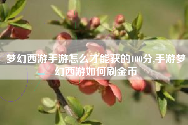 梦幻西游手游怎么才能获的100分,手游梦幻西游如何刷金币