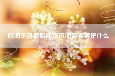 航海王热血航线这位海盗答案是什么