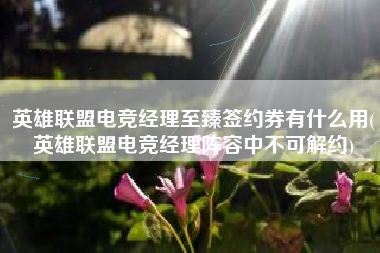 英雄联盟电竞经理至臻签约券有什么用(英雄联盟电竞经理阵容中不可解约)