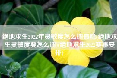 绝地求生2022年灵敏度怎么调最稳(绝地求生灵敏度要怎么调)(绝地求生2022赛事安排)