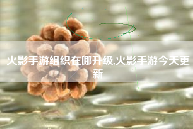 火影手游组织在哪升级,火影手游今天更新