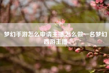 梦幻手游怎么申请主播,怎么做一名梦幻西游主播