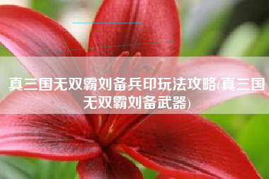真三国无双霸刘备兵印玩法攻略(真三国无双霸刘备武器)
