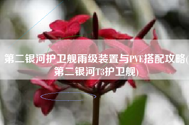 第二银河护卫舰雨级装置与PVE搭配攻略(第二银河T3护卫舰)