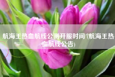 航海王热血航线公测开服时间 (航海王热血航线公告)