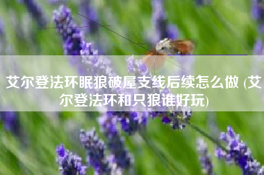 艾尔登法环眠狼破屋支线后续怎么做 (艾尔登法环和只狼谁好玩)