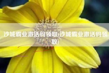 沙城霸业激活码领取(沙城霸业激活码领取)