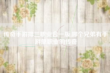 传奇手游排三职业合一版,哪个兄弟有手游单职业的传奇