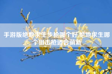 手游版绝地求生步枪哪个好,绝地求生哪个狙击枪适合萌新