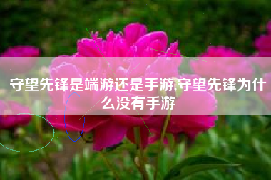 守望先锋是端游还是手游,守望先锋为什么没有手游
