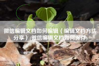 微信编辑文档如何编辑（编辑文档方法分享）(微信编辑文档如何保存)