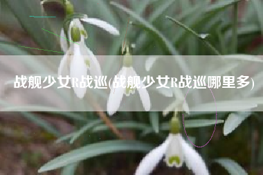 战舰少女R战巡(战舰少女R战巡哪里多)
