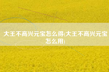大王不高兴元宝怎么得(大王不高兴元宝怎么用)