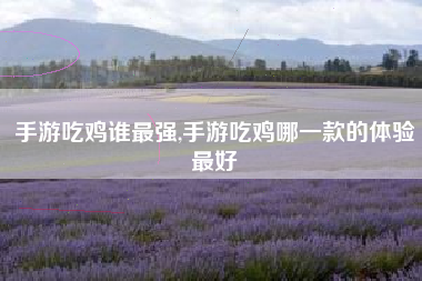 手游吃鸡谁最强,手游吃鸡哪一款的体验最好