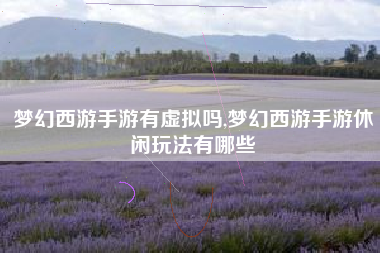 梦幻西游手游有虚拟吗,梦幻西游手游休闲玩法有哪些