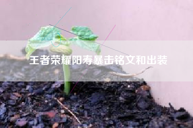 王者荣耀阳寿暴击铭文和出装