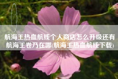 航海王热血航线个人商店怎么升级还有航海王卷乃在哪(航海王热血航线下载)