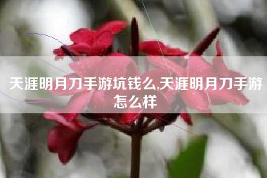 天涯明月刀手游坑钱么,天涯明月刀手游怎么样