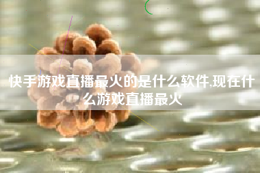 快手游戏直播最火的是什么软件,现在什么游戏直播最火