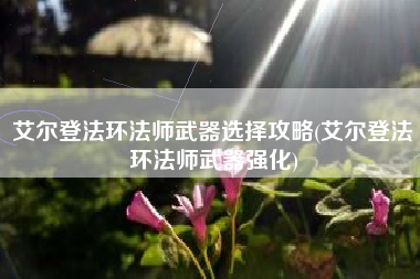 艾尔登法环法师武器选择攻略(艾尔登法环法师武器强化)